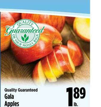 Quality Guaranteed Gala Apples