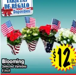 Superior Grocers Blooming offer