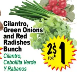 Superior Grocers Cilantro, Green Onions and Red Radishes Bunch offer