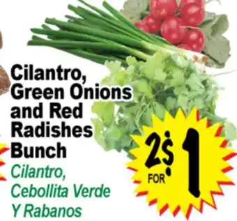 Superior Grocers Cilantro, Green Onions and Red Radishes Bunch offer