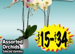 Superior Grocers Assorted Orchids offer