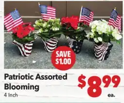 Vallarta Supermarkets Patriotic Assorted Blooming offer