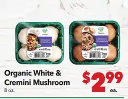 Vallarta Supermarkets Organic White & Cremini Mushroom offer