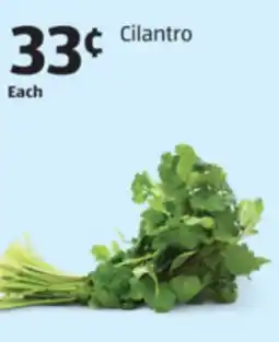 Aldi Cilantro offer