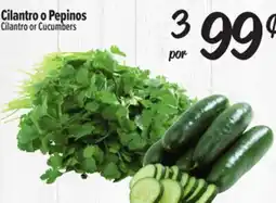 El Super Fresh Cilantro or Cucumbers offer