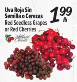 El Super Red Seedless Grapes or Red Cherries offer