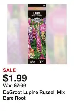 Tractor Supply Company DeGroot Lupine Russell Mix Bare Root offer