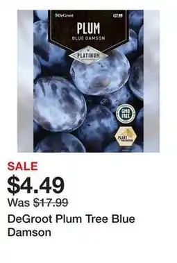 Tractor Supply Company DeGroot Plum Tree Blue Damson offer