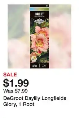 Tractor Supply Company DeGroot Daylily Longfields Glory, 1 Root offer