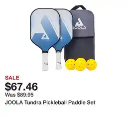 Dick's Sporting Goods JOOLA Tundra Pickleball Paddle Set offer