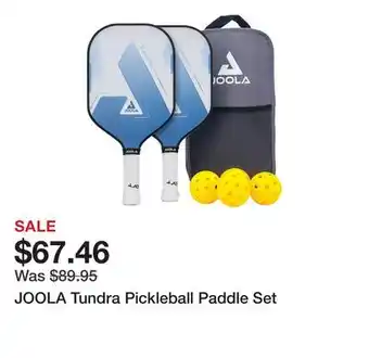 Dick's Sporting Goods JOOLA Tundra Pickleball Paddle Set offer