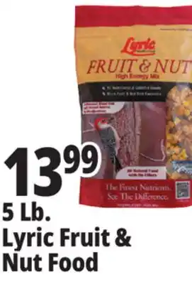 Ocean State Job Lot Lyric Fruit and Nut High Energy Wild Bird Food Mix 5 lbs offer