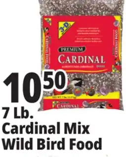 Ocean State Job Lot Better Bird Premium Cardinal Blend Bird Food 7 lbs offer