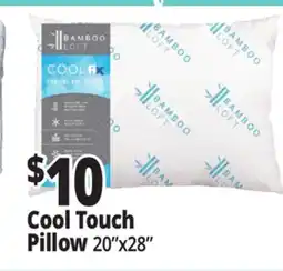 Ocean State Job Lot Cannon Fresh Comfort Bed Pillows 2 Pack offer