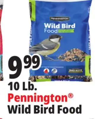 Ocean State Job Lot Pennington Wild Bird Food 10 lbs offer