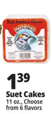 Ocean State Job Lot Bird Feeder's Choice High Energy Suet 11 oz offer