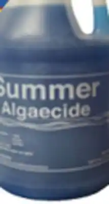 Ocean State Job Lot Summer Algaecide 1 Gal offer