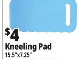 Ocean State Job Lot Tiller & Rowe EVA Foam Kneeling Pad 15.5 offer