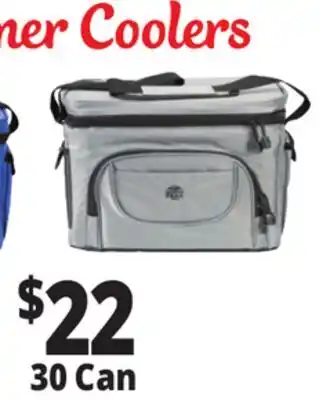 Ocean State Job Lot North Peak Hard Lined Cooler 30-can offer