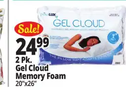 Ocean State Job Lot Gel Memory Foam Comfort Pillows 2-Count offer