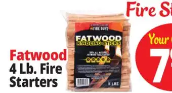 Ocean State Job Lot 4 Lb. Fire Starters offer