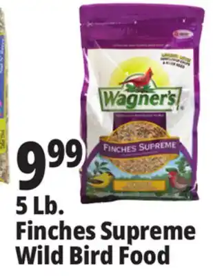 Ocean State Job Lot 5 Lb. Finches Supreme Wild Bird Food offer
