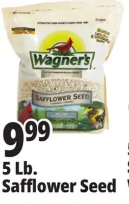 Ocean State Job Lot Wagner's Safflower Seed Deluxe Wild Bird Food offer