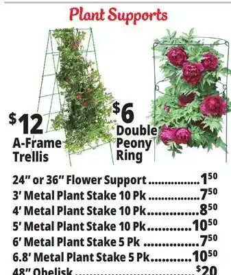 Ocean State Job Lot Plant Supports offer