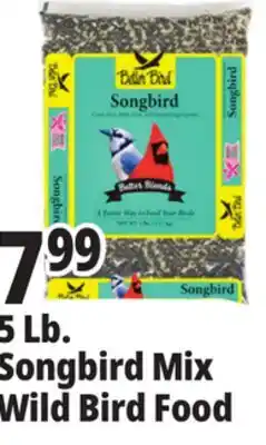 Ocean State Job Lot Better Bird Songbird Better Blends Food 5 lbs offer