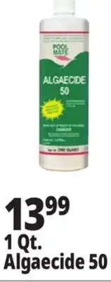 Ocean State Job Lot Pool Mate Algaecide 50 1 Qt offer