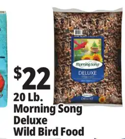 Ocean State Job Lot Morning Song Deluxe Wild Bird Food 20 lbs offer