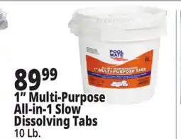 Ocean State Job Lot Pool Mate All-In-One 3 Chlorinating Tabs 10 lbs offer
