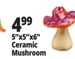 Ocean State Job Lot Large Ceramic Mushroom Assorted offer