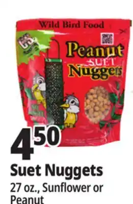 Ocean State Job Lot C&S Sunflower Suet Nuggets 27 oz offer