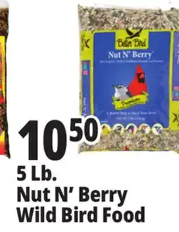 Ocean State Job Lot Better Bird Premium Nut N' Berry Bird Food 5 lbs offer
