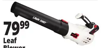 Ocean State Job Lot Leaf Blower offer