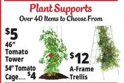 Ocean State Job Lot Plant Supports offer