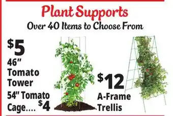 Ocean State Job Lot Plant Supports offer
