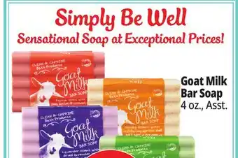 Ocean State Job Lot Simply Be Well Goat Milk Bar Soap offer
