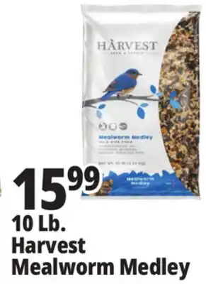 Ocean State Job Lot 10 Lb. Harvest Mealworm Medley offer