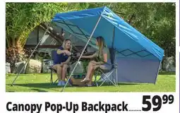 Ocean State Job Lot Canopy Pop-Up Backpack offer