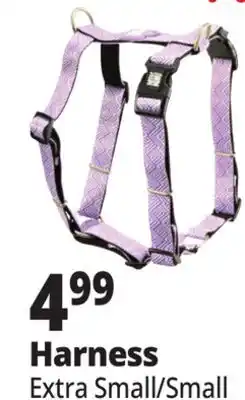 Ocean State Job Lot Harness offer
