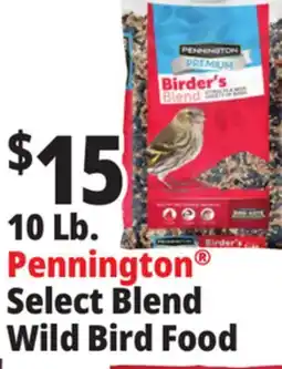 Ocean State Job Lot 10 Lb. Pennington Select Blend Wild Bird Food offer