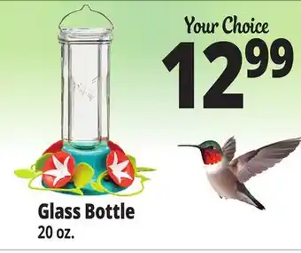 Ocean State Job Lot Glass Bottle offer