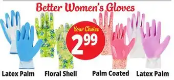 Ocean State Job Lot Better Women's Gloves offer