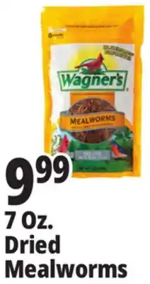 Ocean State Job Lot 7 Oz. Dried Mealworms offer