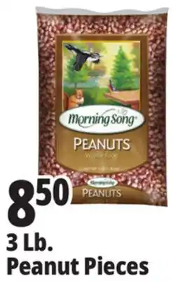 Ocean State Job Lot Morning Song Wildlife Food Peanuts 3 lbs offer