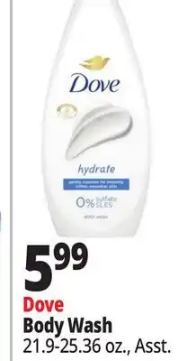 Ocean State Job Lot Dove Body Wash offer
