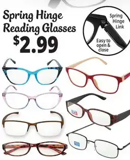 Ocean State Job Lot Spring Hinge Reading Glasses offer