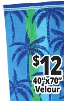 Ocean State Job Lot 40x70 Velour Beach Towels offer